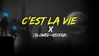 Khaled  cest la vie SlowedReverb [upl. by Aicek406]