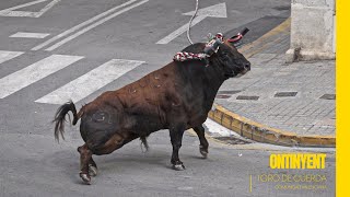 Toros con cuerda en la Comunidad Valenciana  Episodio 3 ▶ ONTINYENT [upl. by Akaya]