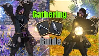 An Attempt at a FFXIV Gathering Leveling Guide 190 [upl. by Hamachi]