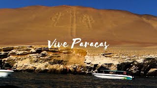 Descubre los secretos de las costas de Paracas Peru [upl. by Nevear]