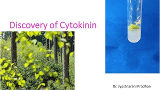 Discovery of Cytokinin [upl. by Duleba]