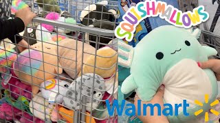 SQUISHMALLOW HUNTING COMPILATION at Walmart and ACME [upl. by Bobinette689]