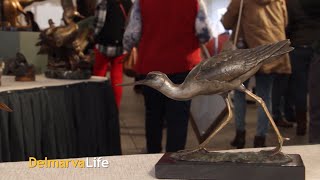 We Get A Preview Of This Years Waterfowl Festival [upl. by Ozzy]