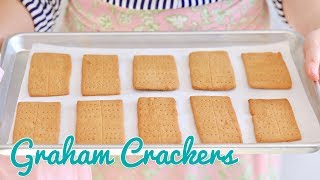 Making Your Own Homemade Graham Crackers  Bigger Bolder Baking [upl. by Sorodoeht]