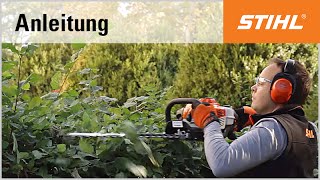 SchnittTechnik BenzinHeckenschere Rückschnitt mit der STIHL HS 81 R [upl. by Lledniw]