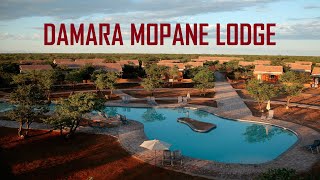 GONDWANA DAMARA MOPANE LODGE DAMARALAND NAMIBIA  ГОНДВАНА ДАМАРА МОПАНЕ ЛОДЖ ДАМАРАЛЕНД НАМИБИЯ [upl. by Yaniv]