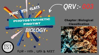 QRV  003 PHOTOSYNTHETIC PROTIST Thesciencetrio3 [upl. by Hanala260]