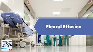 Medical School  Evaluation of a Pleural Effusion [upl. by Elyn349]