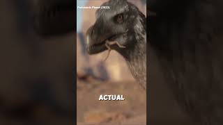 The ACTUAL Size of the VELOCIRAPTOR dinosaurfacts jurassicworld prehistoricdiscoveries [upl. by Shari]