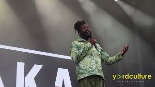 Kabaka Pyramid performing in Germany at Summer jam [upl. by Aileme]