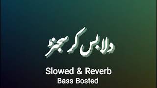 Dila Bus Kar Sajanr Saraiki Song Slow  Reverb  Bass Boster  Saraiki Song  Zohaib Editor [upl. by Tarrel]