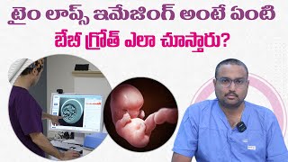 TimeLapse Embryo Monitoring  DrUdayakiran  Avni Fertility Andrology [upl. by Rebhun303]