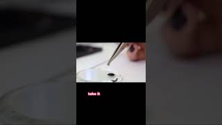 How to Dip Eyelash Extensions in Glue shorts eyelashextensions lashes beauty lashextensions [upl. by Elbert]