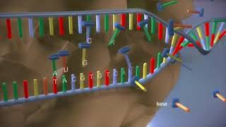 Molecular Basis Of Inheritance  Animation Video  Genetics  Class 12 Biology  NEET [upl. by Ydnab328]