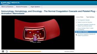 USMLE® Step 1 Hemostasis Animation [upl. by Amjan]