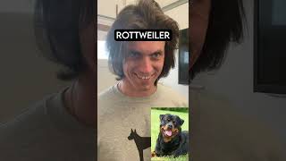 How Dog Breeds React to Robbers Part 2 With Pictures [upl. by Bbor]