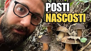 PORCINI ZANZARE E VECCHI RICORDI porcini funghi [upl. by Tallu]