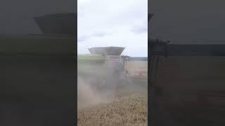 Harvesting Wheat with the Claas Lexion 8700 Precision Machine [upl. by Attekahs]