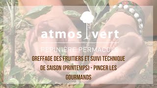 Greffer un arbre fruitier technique de suivi saisonnier au printemps [upl. by Ardle]