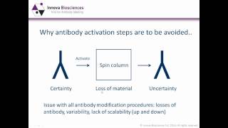 Antibody Labeling Webinar Antibody conjugation methods  which one is best for you [upl. by Enahsed]