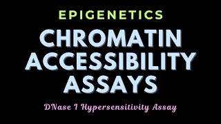 DNase I hypersensitivity assay  Chromatin remodeling assays  Epigenetics  GATECSIRNET [upl. by Heger]