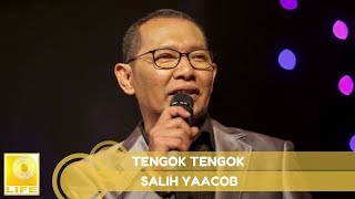 Salih Yaacob  Tengok Tengok Official Audio [upl. by Oetam]