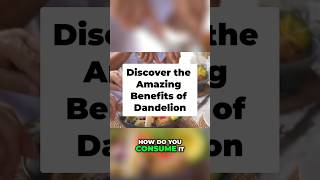 Discover the Amazing Benefits of Dandelion for Health [upl. by Skier377]