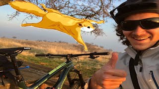 Flying Squirrel Full Run  Exchequer Bike Park [upl. by Harret]