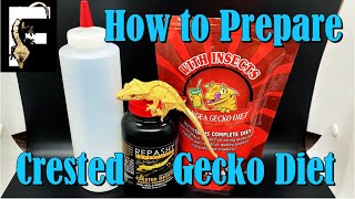 ARE YOU FEEDING YOUR GECKOS WRONG  How to Prepare Crested Gecko Diet [upl. by Button]