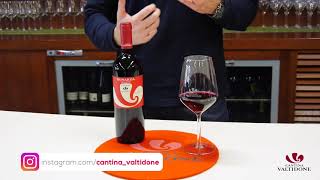 Bonarda vivace Doc  Linea Viti e Vini Cantina Valtidone [upl. by Guzel]