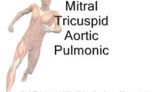 Heart Valves Closure Sequence Mnemonic [upl. by Durwyn]