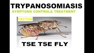 trypanosomiasis diseases SYMPTOMS amp CONTROL [upl. by Nivle152]