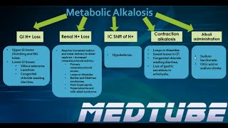 Metabolic Alkalosis Made Easy [upl. by Endres452]