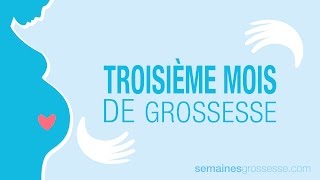 Troisième mois de grossesse  Mois 3 de grossesse  La grossesse mois par mois [upl. by Arrac580]