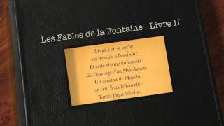 Le Lion et le Moucheron  Fable de la Fontaine livre audio [upl. by Onitselec240]