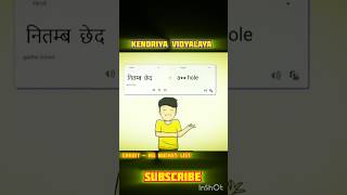 KENDRIYA VIDYALAYA ☺️  CREDIT  RG BUCKET LIST  COMEDY ANIMATION  shorts rgbucketlist [upl. by Nitz]