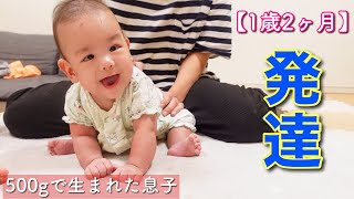 【発達ゆっくり？】500gで生まれた息子の成長／溺愛がとまらないダウン症3歳姉 [upl. by Muir910]