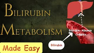 Bilirubin metabolism MADE SIMPLE [upl. by Gnehp]