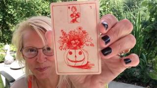 SPOOKTACULAR LENORMAND Review [upl. by Airottiv]