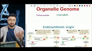 Organelle genome Origin story of Mitochondria and Chloroplast ARS Agri Biotech  CSIR ICARJRF [upl. by Anyer]