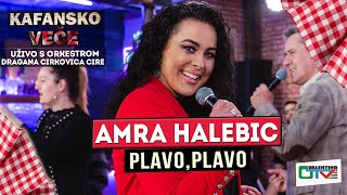 AMRA HALEBIC  PLAVO PLAVO  UZIVO ORK DRAGAN CIRKOVIC CIRA  2022  OTV VALENTINO [upl. by Helbonnas]