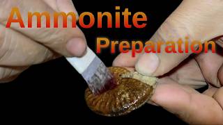 Ammonite Graphoceras Fossil Preparation [upl. by Nivk]