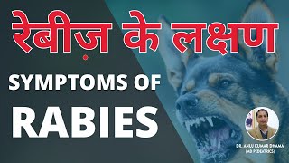 Symptoms of Rabies in Humans amp Animals  रेबीज के लक्षण  Rabies vaccine  Sign of Rabies in Hindi [upl. by Angi]