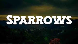 Jason Gray  Sparrows Lyrics  Mix Worship Playlist [upl. by Areema566]