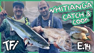 WHITIANGA Catch amp Cook w Charles Peters  Whitianga  New Zealand [upl. by Shedd913]