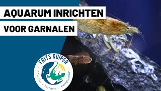 Aquarium inrichten voor garnalen [upl. by Roseann465]