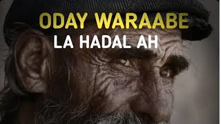 Oday waraabe la hadal ah cabdisalaan hareeri [upl. by Jemy371]