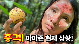 아마존이 변해버린 충격적인 이유시청 필수 다큐멘터리 아마존EP4 다큐멘터리 documentary amazonjungle [upl. by Gettings431]