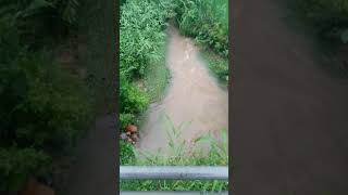 Pani Parera khola badexa hajur nature waterfall relaxing relaxingmusic forest [upl. by Esinad]