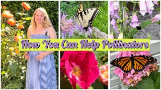 How You Can Help Pollinators  International Pollinator Week [upl. by Ahab]